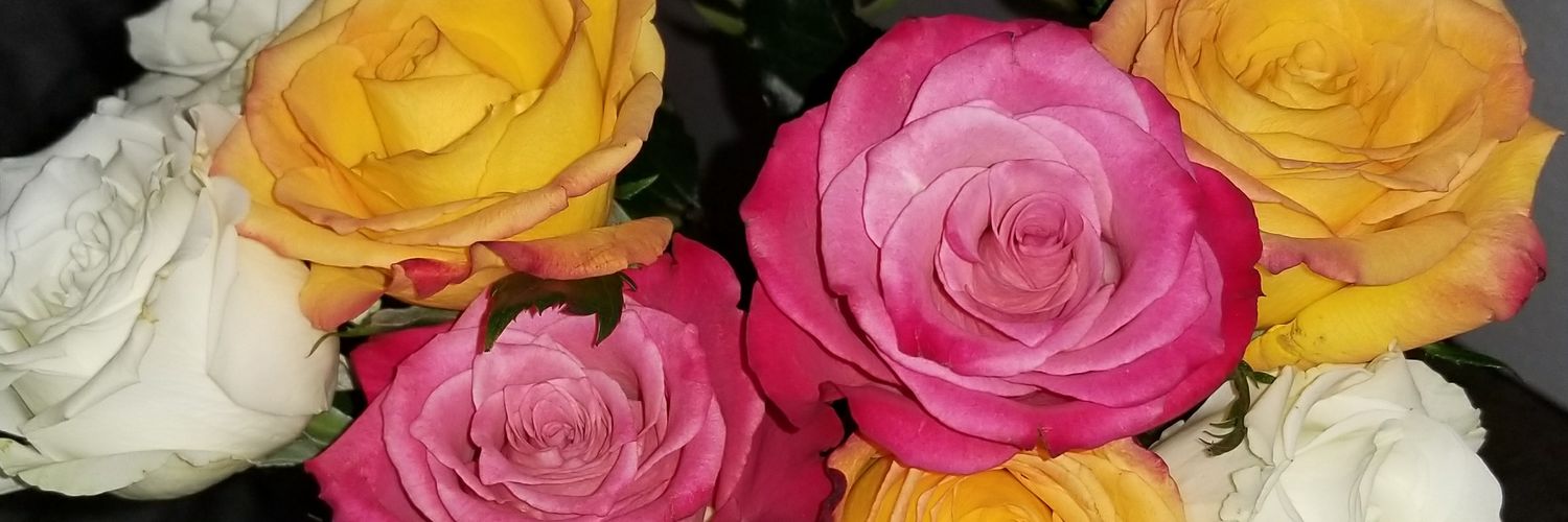 Maria_Rimblert's profile banner image