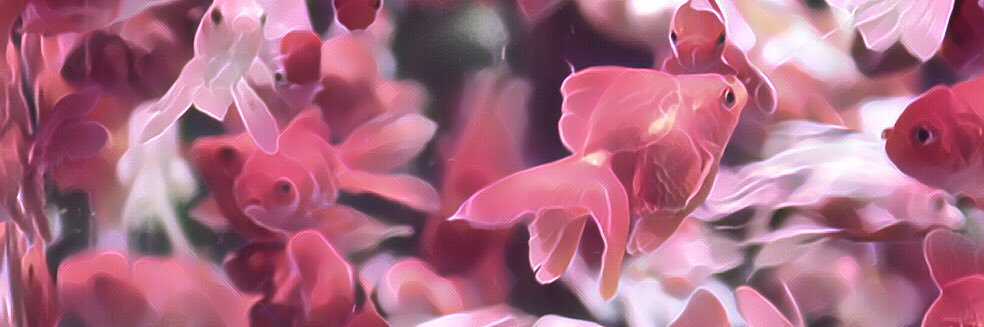 N_simKK's profile banner image