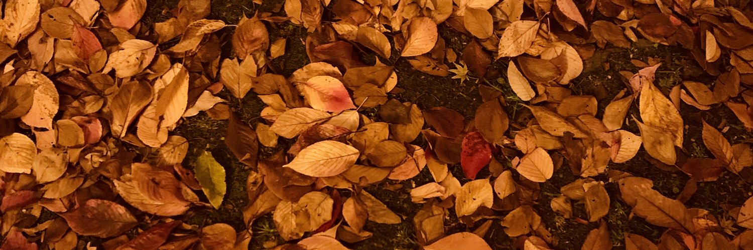 Marten1408's profile banner image