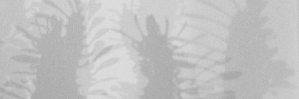 RachelJStandish Profile Banner