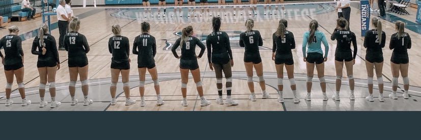 SCC Bobcat VB 🏐 banner