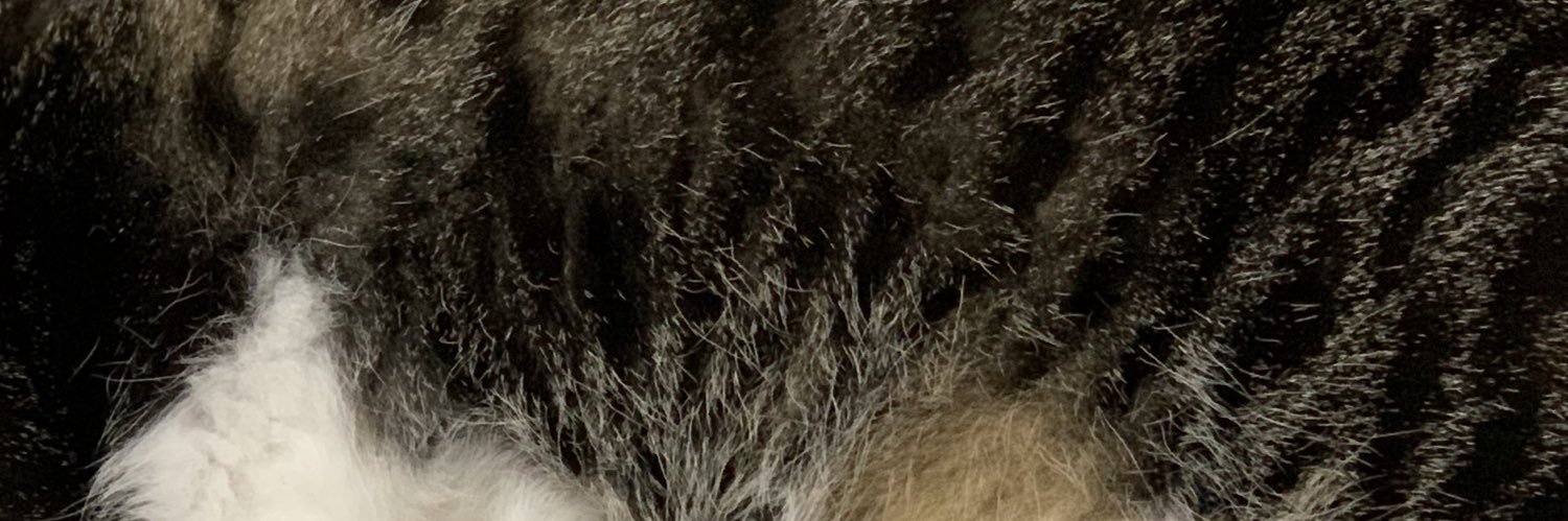 ama0u's profile banner image