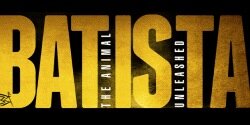 DaveBatistaFans's profile banner image