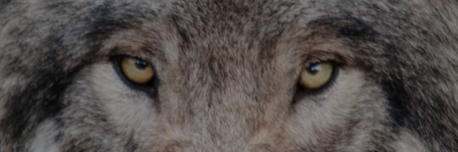 canyon2129's profile banner image