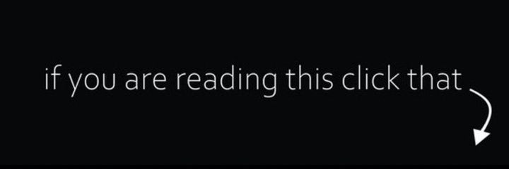 Stephen Malone banner