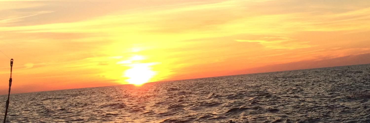 Sarcs15's profile banner image