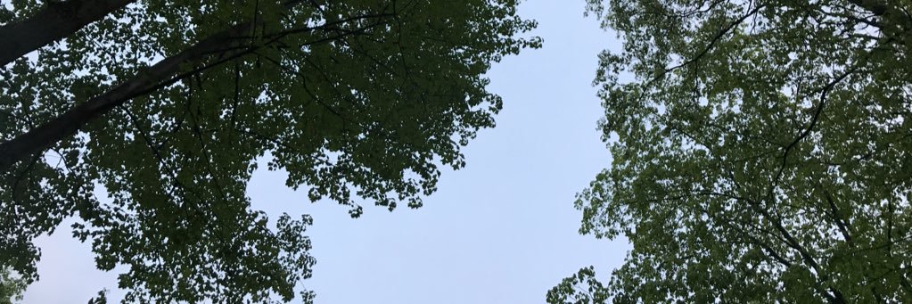 kelliahamme's profile banner image