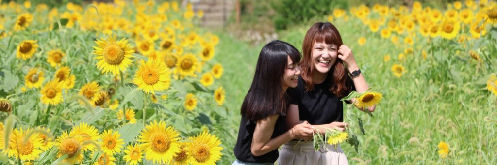 ayamen524's profile banner image
