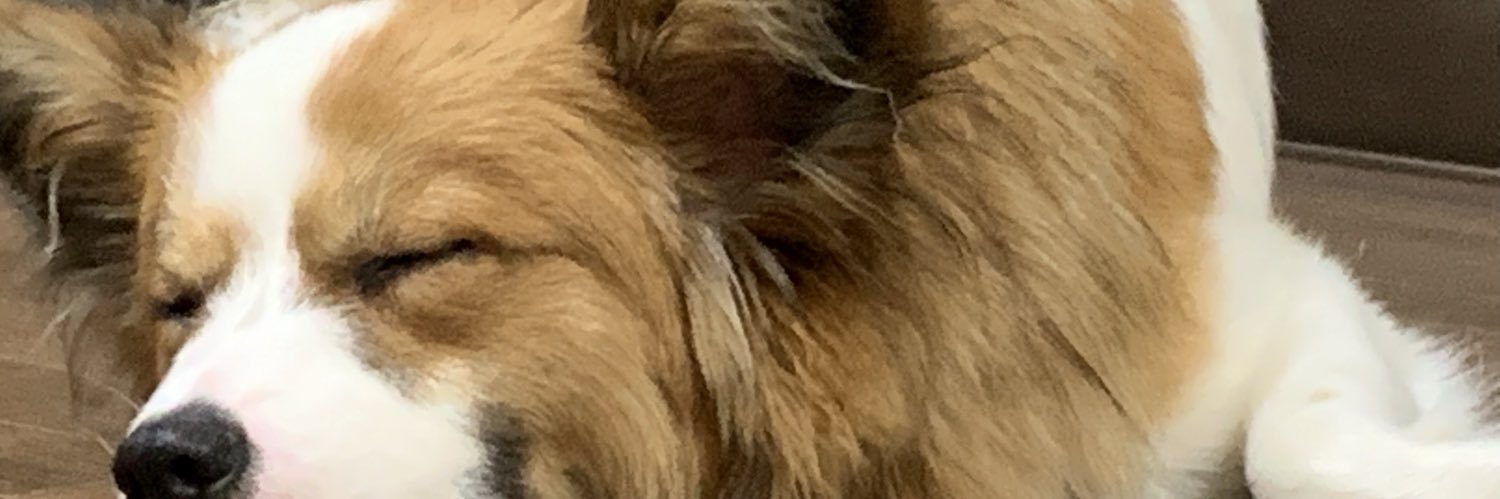 macho9428's profile banner image