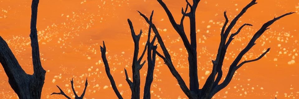 emersonmp's profile banner image