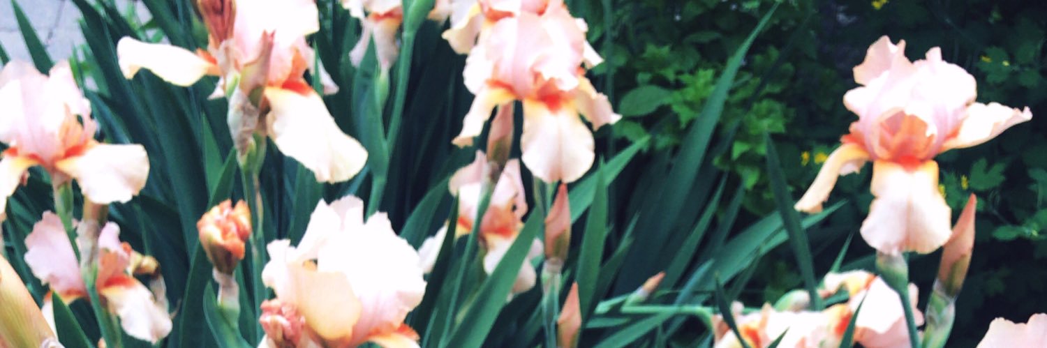 brendatee17's profile banner image