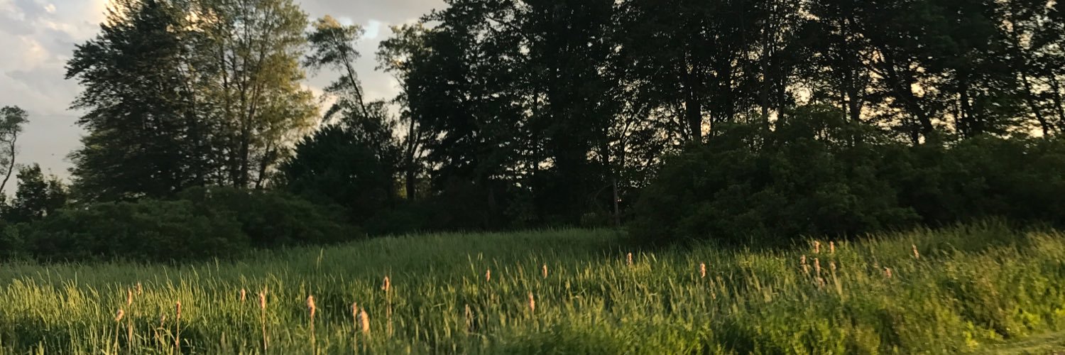 Its_Kellsie_Guy's profile banner image