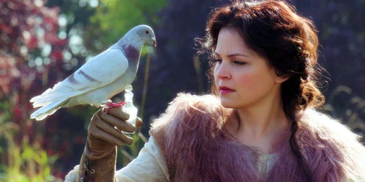 MaryofSnow's profile banner image