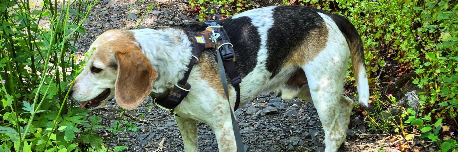 @OldGrumpyMike.bsky.social banner