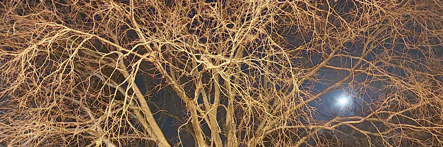 Alexandra Roginski banner