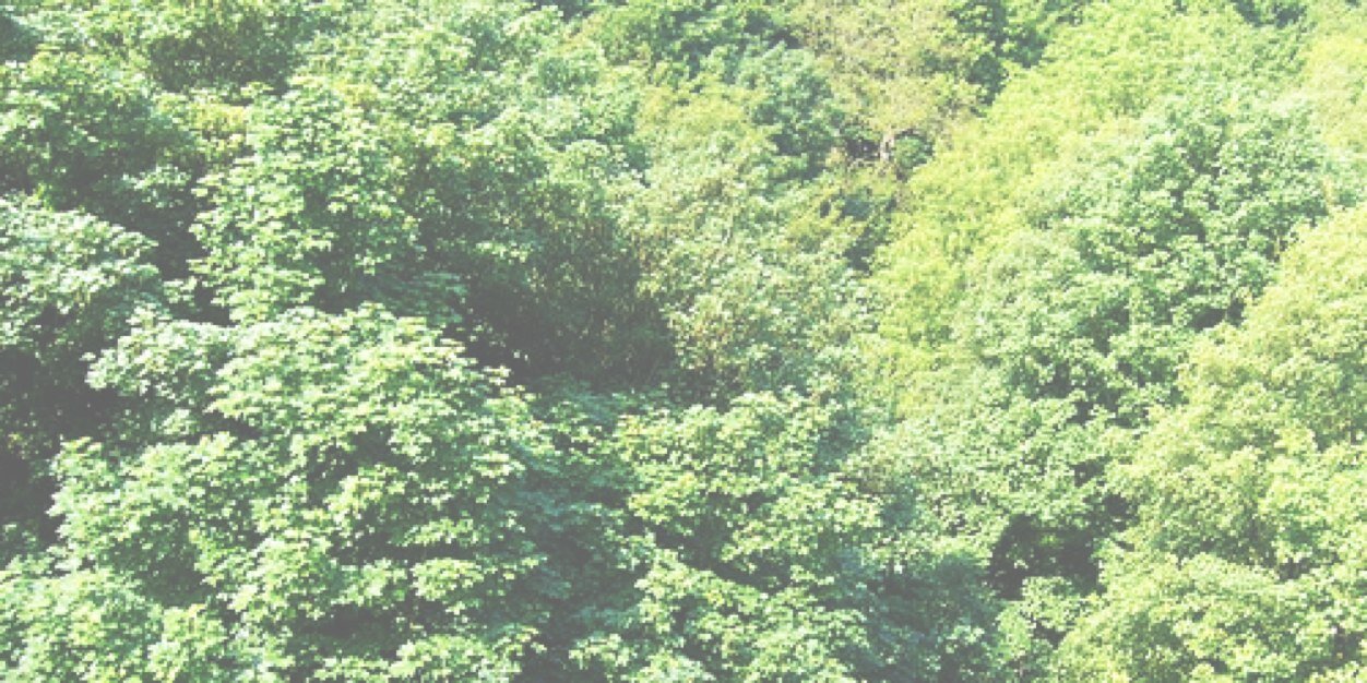 anitallgdr's profile banner image