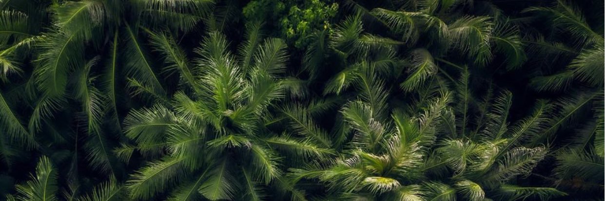 chrishernandz_'s profile banner image