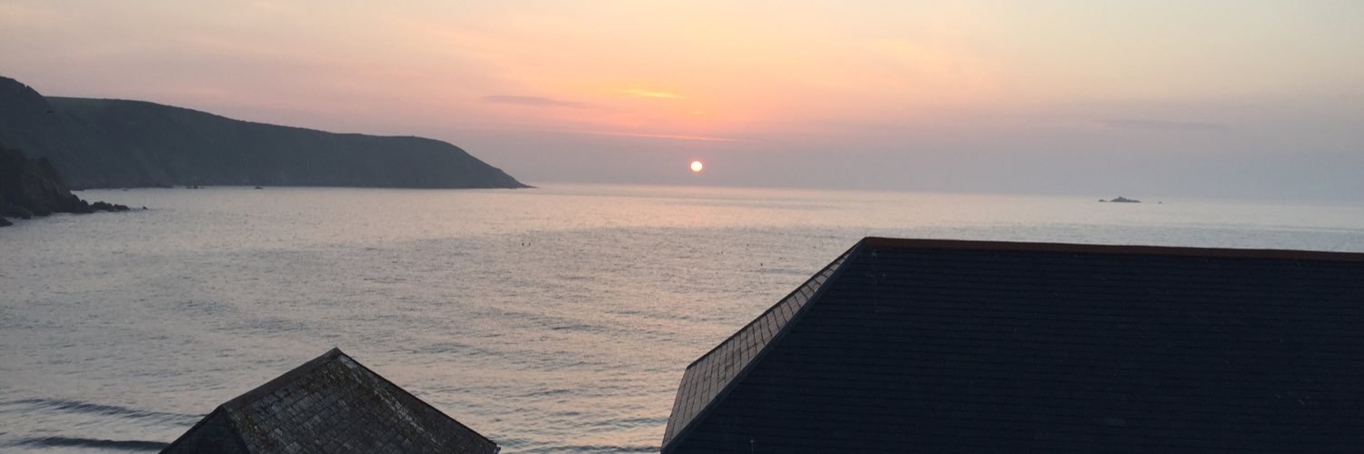 Nomis Norseman banner