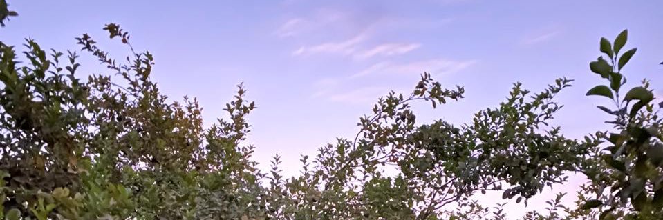nobvn's profile banner image