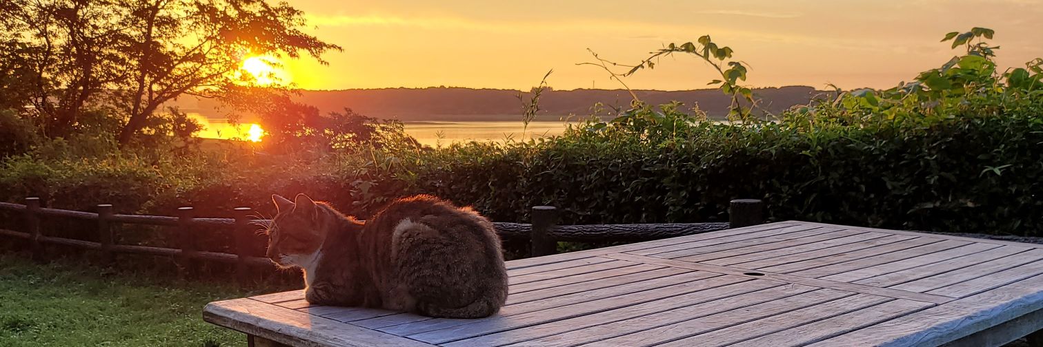 arrowinside's profile banner image