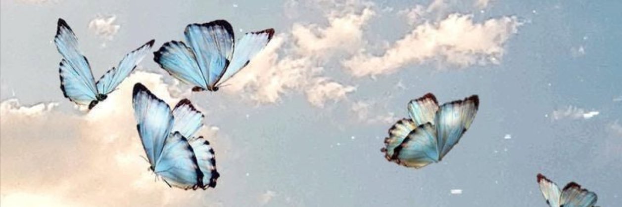 KSWonderss's profile banner image
