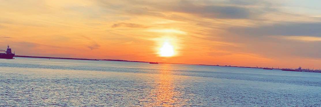 toriasd's profile banner image
