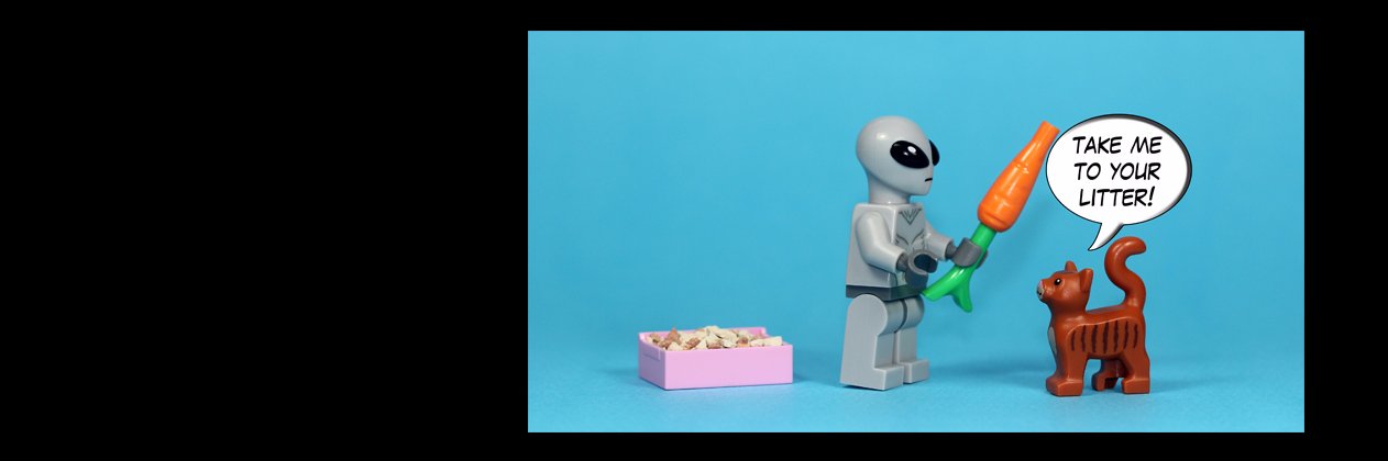 BestBeforeDark's profile banner image