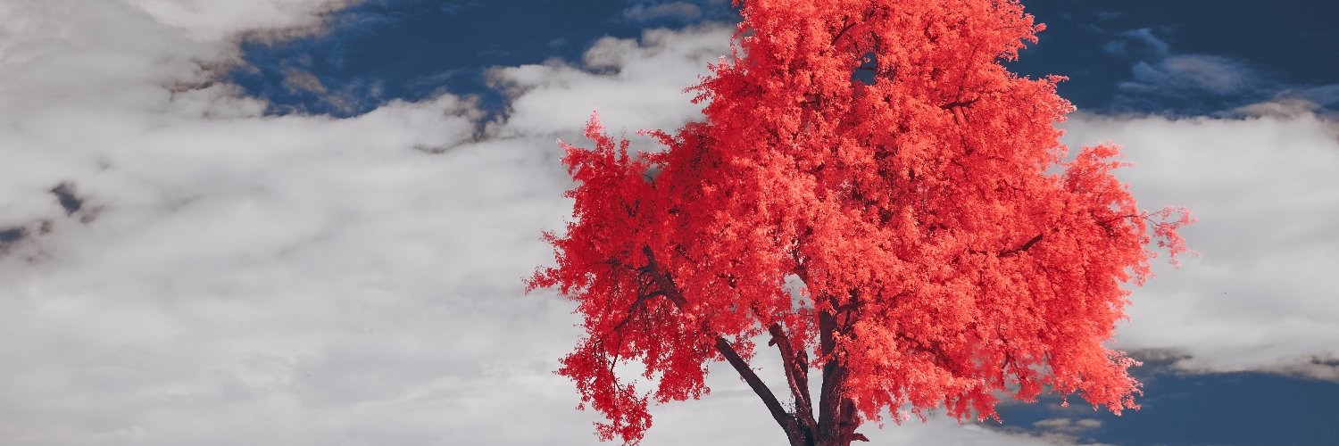 KanesaNasser's profile banner image