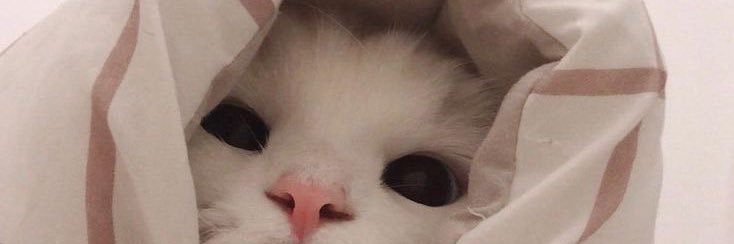 Nae_NRR's profile banner image