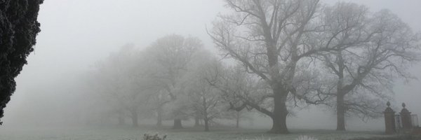 joppajay Profile Banner