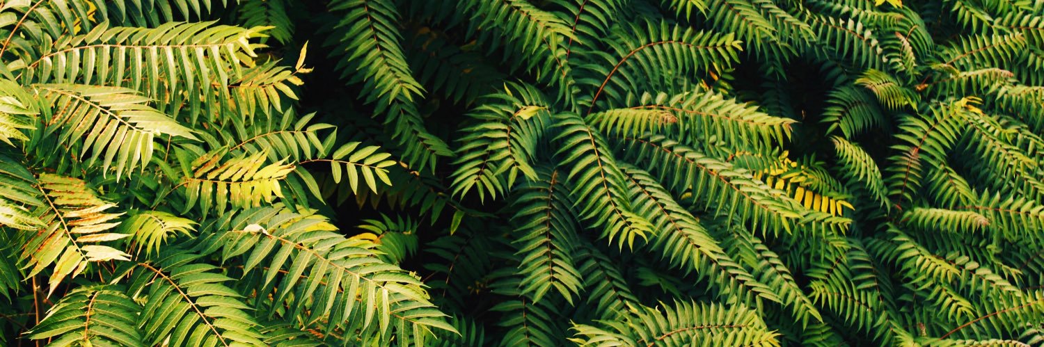 tomdcamp's profile banner image
