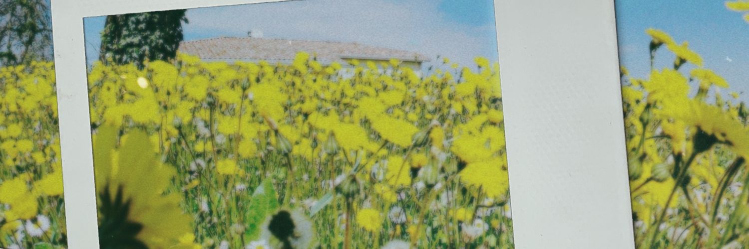 bobby04kpop's profile banner image