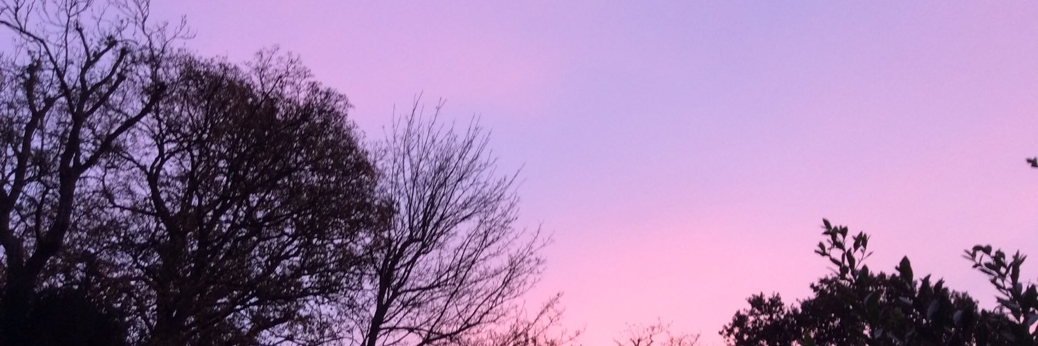 JennyGroovycro's profile banner image