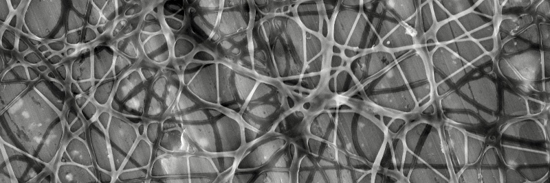 Rebecca Hunter banner