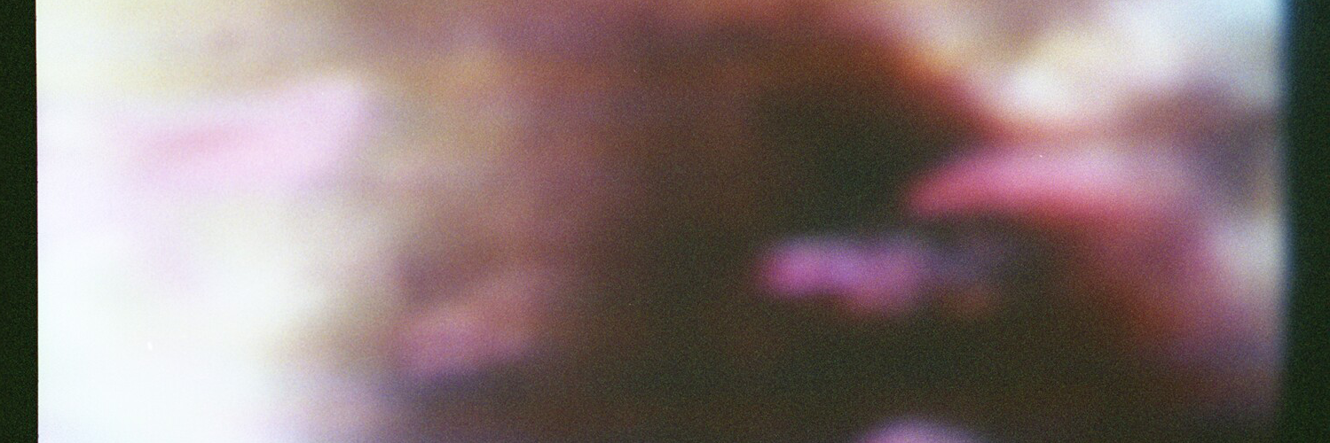 seannui's profile banner image