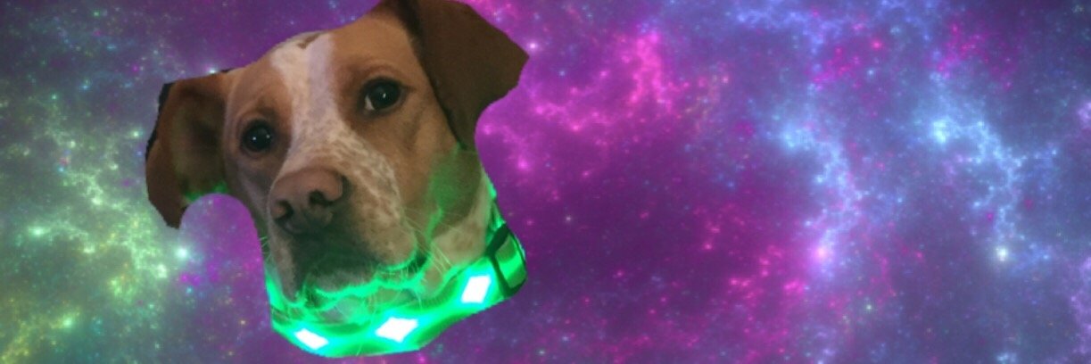 Kitty_Wompass's profile banner image