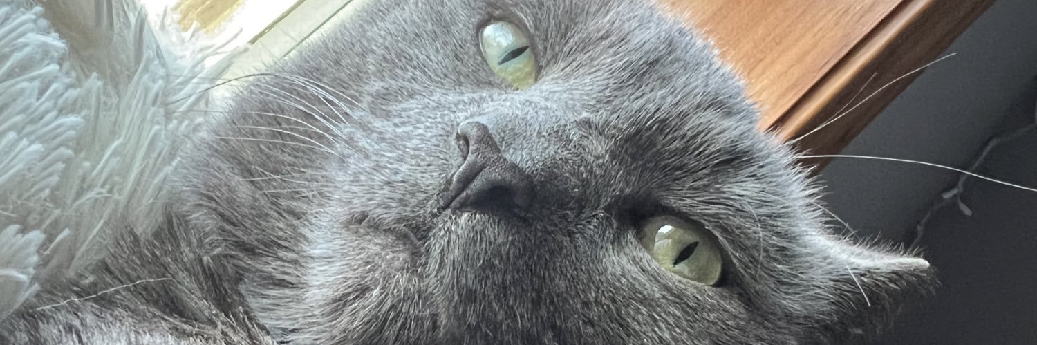 iamkayleec's profile banner image