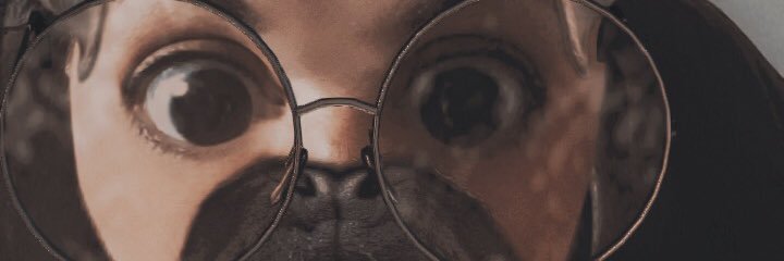 OnePunchMom banner