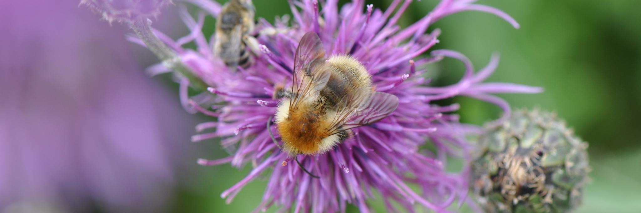 Stuart Connop banner