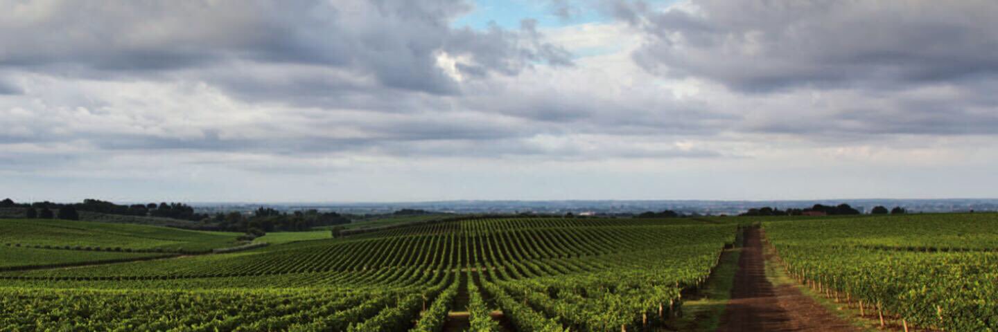 kathboerner's profile banner image