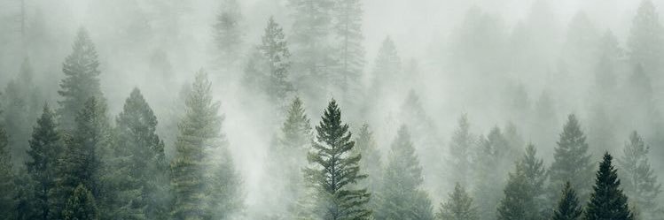 nomotivatioons's profile banner image