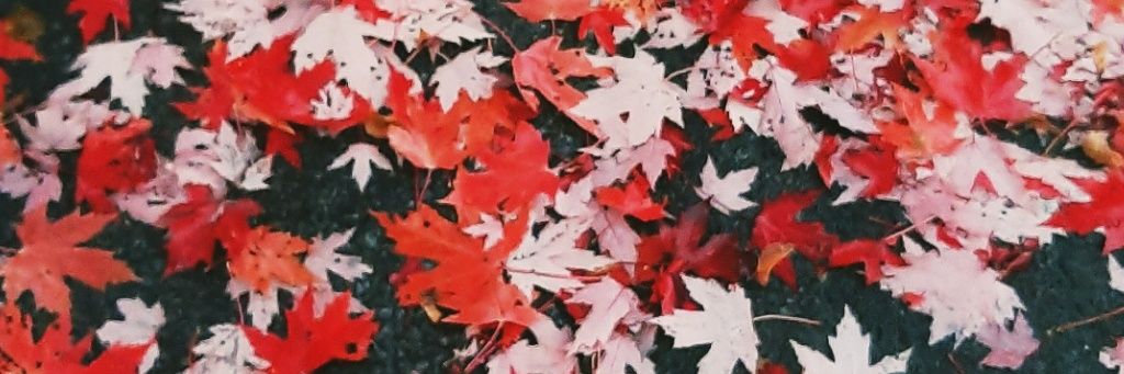 andyttn's profile banner image