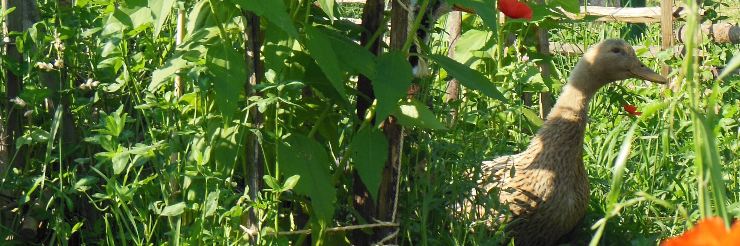 FermeParis's profile banner image
