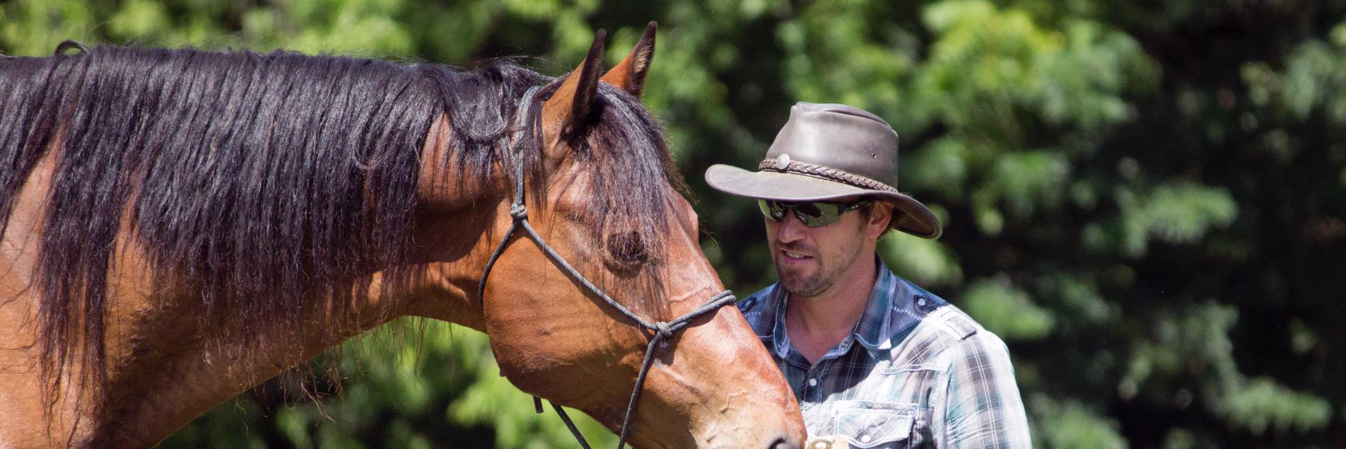 RanchHandTips's profile banner image