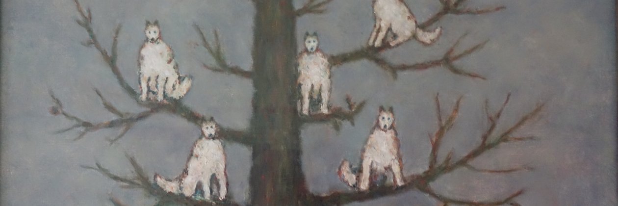 Jasper Taylor banner