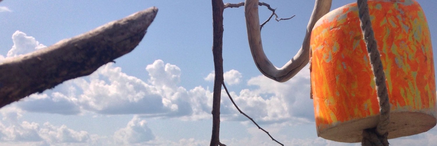 shaas47's profile banner image