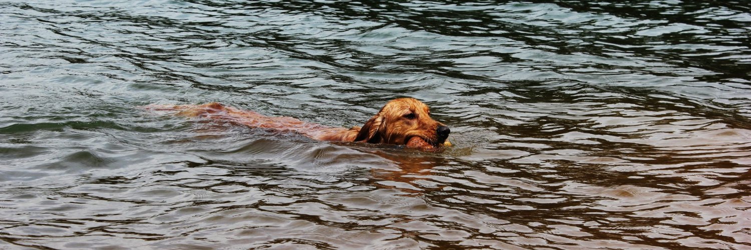 Travis Benzing banner