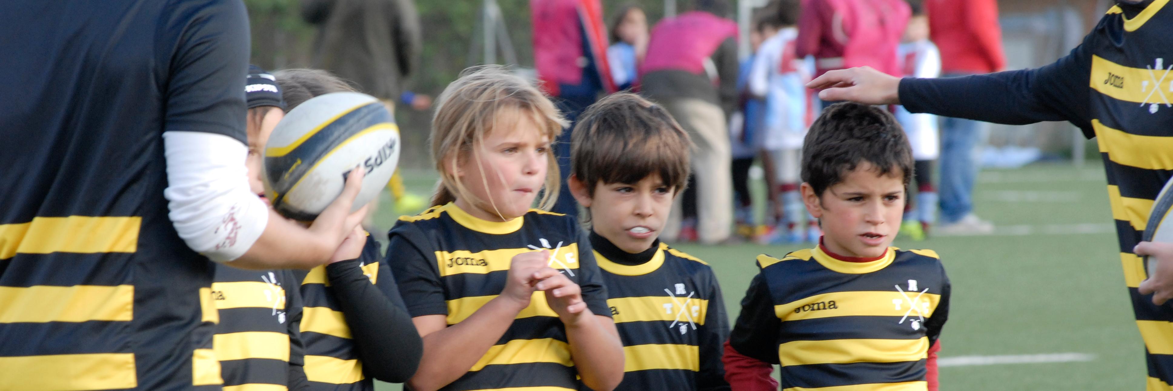 Torrelodones Rugby banner