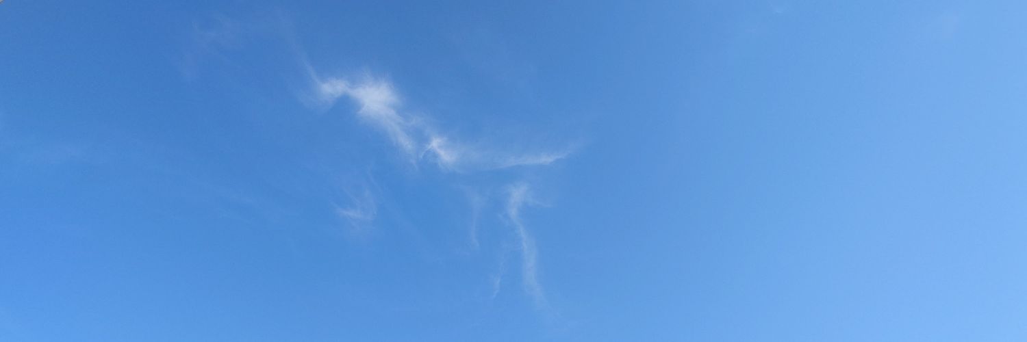 killmedesu's profile banner image