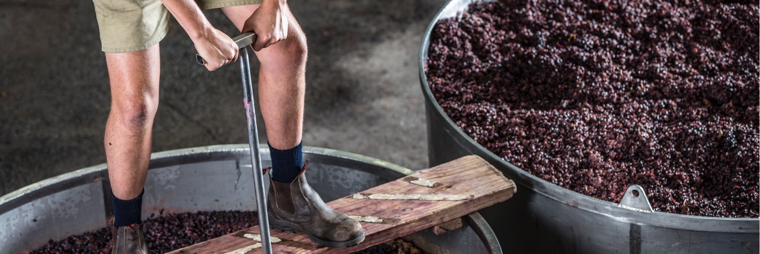 Rob Dolan Wines banner